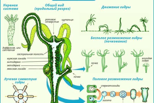 Кракен магазин kraken014 com