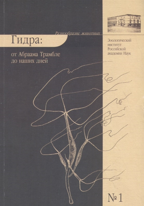 Как зайти на площадку кракен